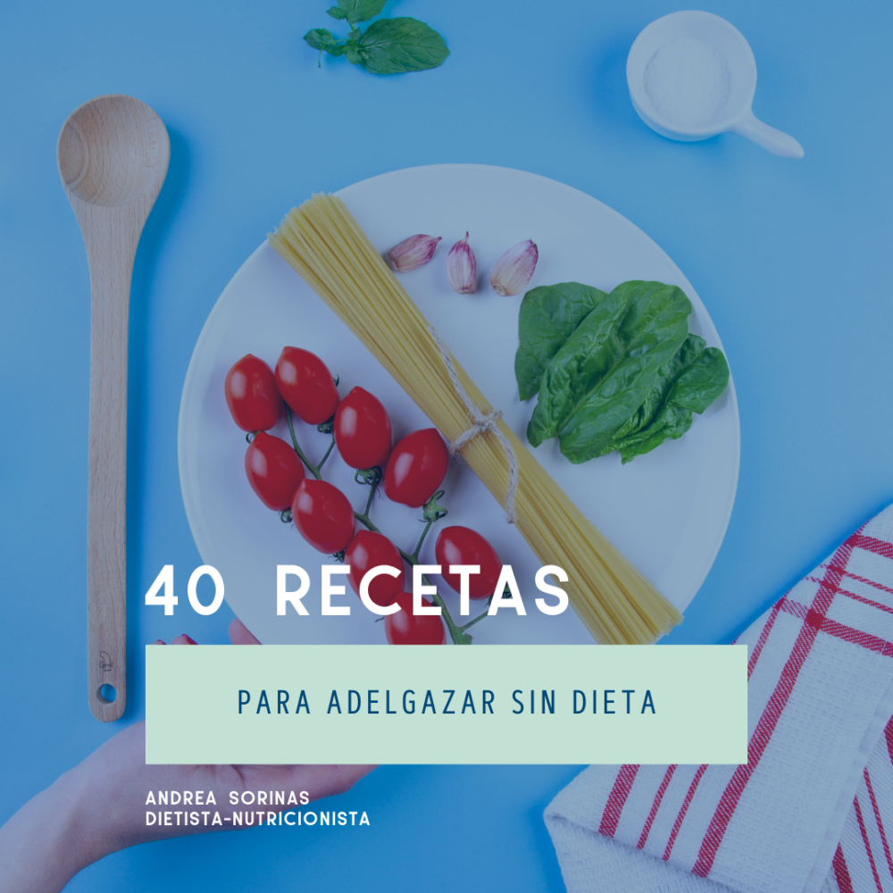 Ebook 40 Recetas Para Adelgazar Sin Dieta Pdf Concoconut 3353